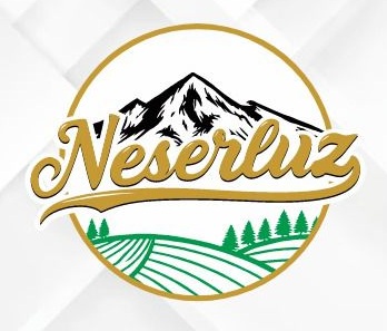 My Website